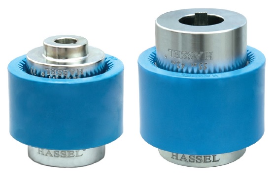 Hassel elastik kaplin takimi